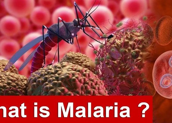 first-treatment-malaria